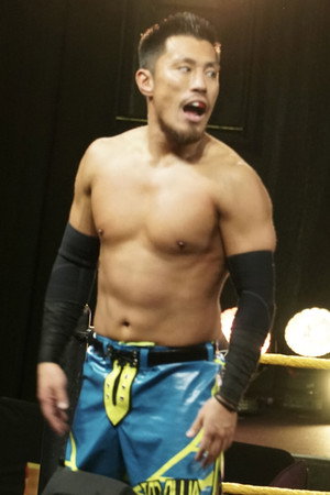 Cover image for Akira Tozawa