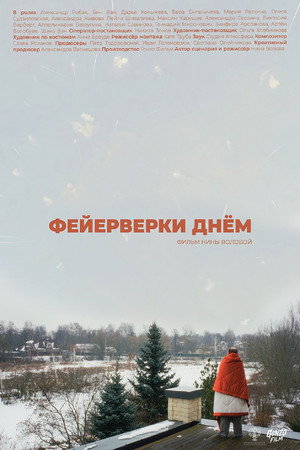 Poster for Фейерверки днём