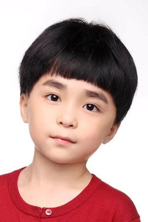 Cover image for Li Zhen Zhen