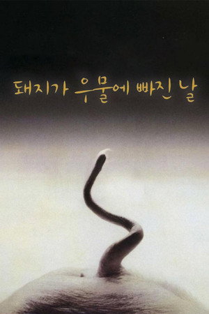 Poster for День, когда свинья упала в колодец