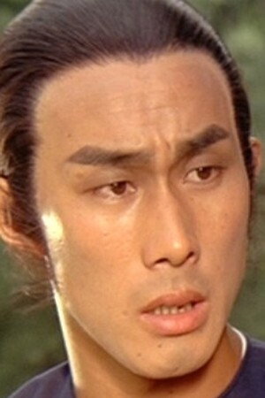 Cover image for Wang Ho