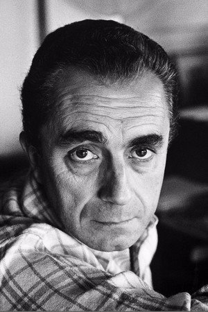 Cover image for Michelangelo Antonioni