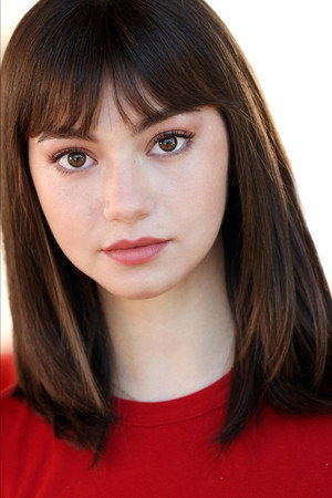 Cover image for Lauren Lindsey Donzis