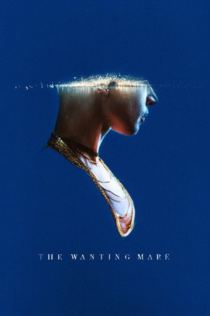 Poster for Большое желание