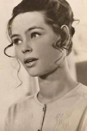 Cover image for Margot Busse