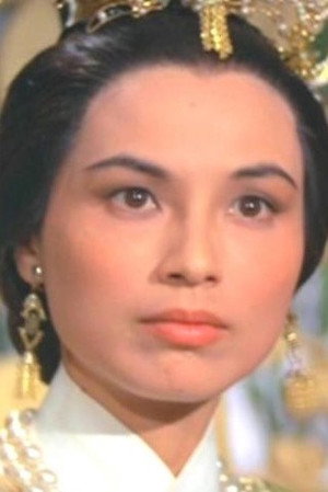 Cover image for Hsu Yu