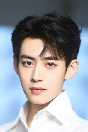 Cover image for Wang Xingwei