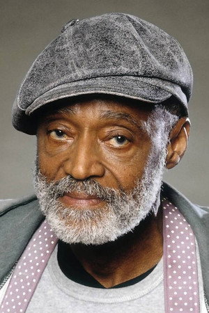 Cover image for Melvin Van Peebles