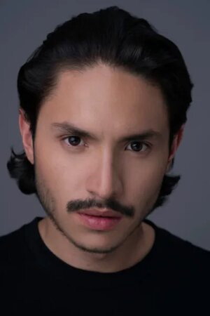Cover image for Camilo Amores