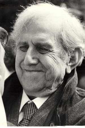 Cover image for Rodolfo Sonego
