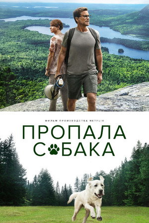 Poster for Пропала собака