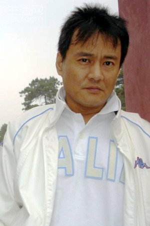 Cover image for Wang Hui