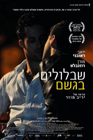 Poster for Улитки под дождём