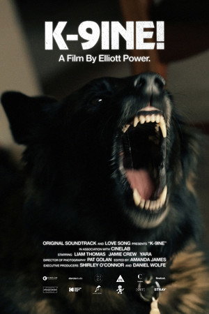 Poster for K-9INE!