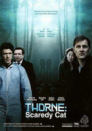 Poster for Торн: Пуганая ворона