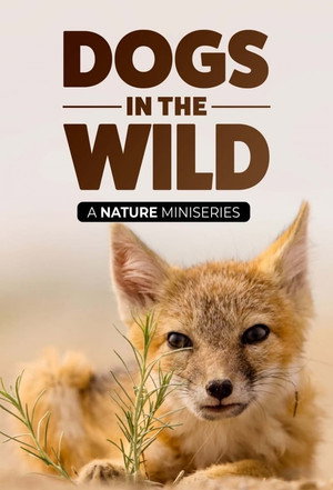 Poster for Dogs in the Wild: Meet the Family
