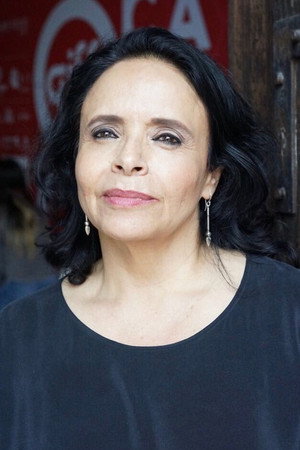 Cover image for María Estela Fernández
