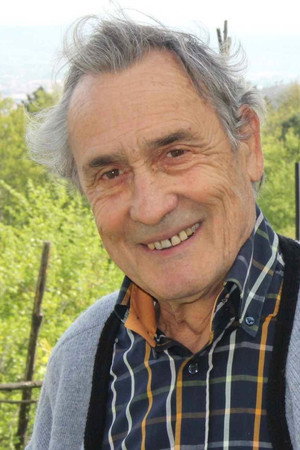 Cover image for Gabriele Tozzi