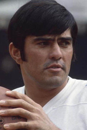Cover image for Roman Gabriel