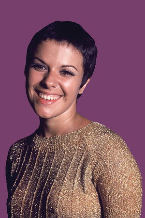 Cover image for Elis Regina