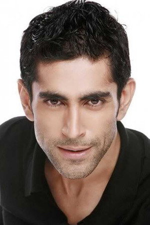 Cover image for Tarun Khanna