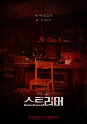 Poster for Стример