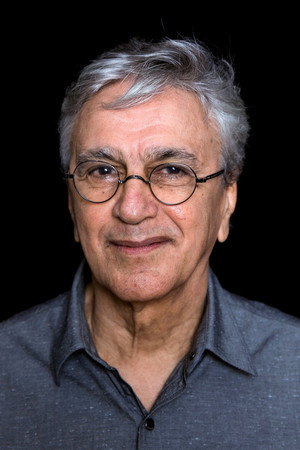 Cover image for Caetano Veloso