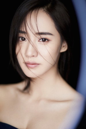 Cover image for Wang Zhi