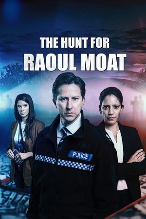 Poster for Охота на Рауля Моата