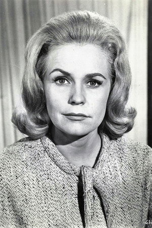 Cover image for Diana Van der Vlis