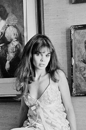 Cover image for Viviane Ventura