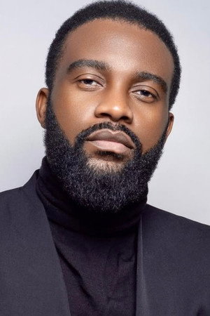 Cover image for Fally Ipupa