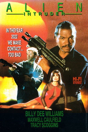 Poster for Чужой нарушитель