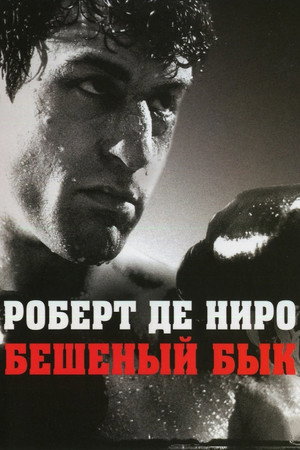 Poster for Raging Bull