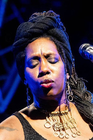 Cover image for Durga McBroom