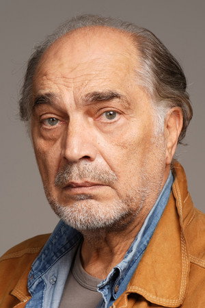 Cover image for Vojislav Brajović
