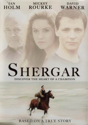 Poster for Похищение чемпиона