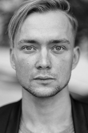 Cover image for Aleksander Eeri Laupmaa