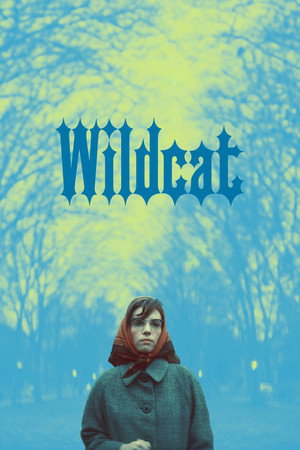 Poster for Дикая кошка