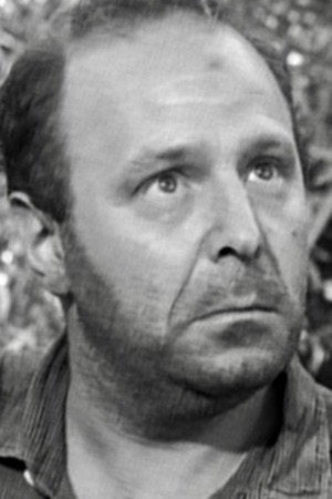Cover image for Maurice Manson