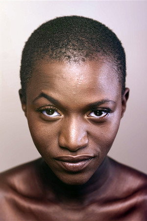 Cover image for Annabelle Lengronne
