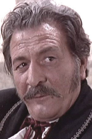 Cover image for Furio Meniconi