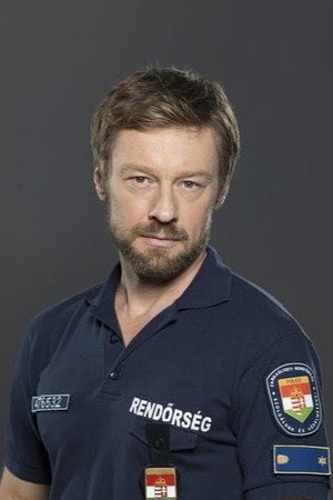 Cover image for Dénes Száraz