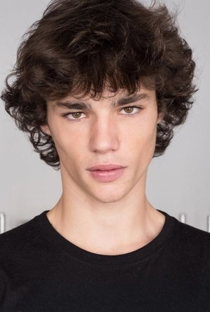 Cover image for Fernando Lindez
