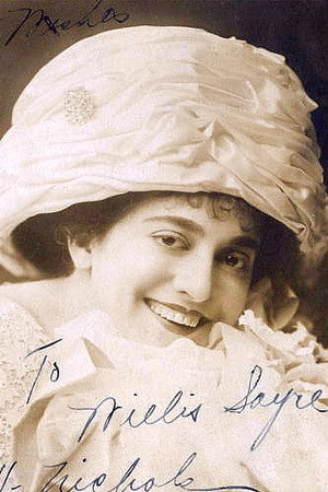 Cover image for Nellie V. Nichols