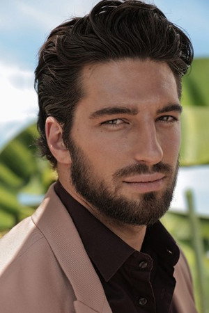 Cover image for Alvise Rigo