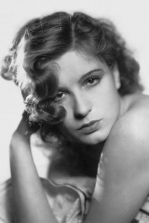 Cover image for Lili Damita