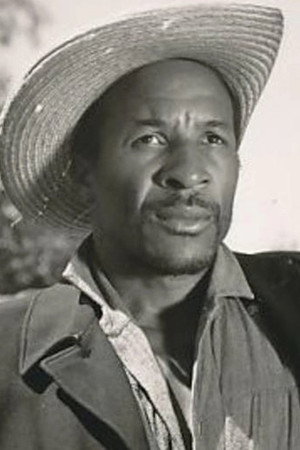 Cover image for Archie Savage