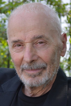 Cover image for Simon Eine