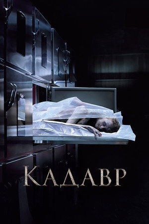 Poster for The Possession of Hannah Grace